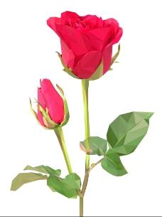 几何玫瑰花 (2)