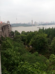 大自然长江大桥图片