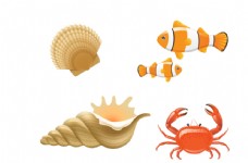 度假卡通鱼贝壳海螺螃蟹图片