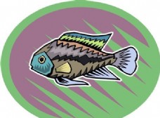 五彩小鱼 水生动物 矢量素材 EPS格式_0728