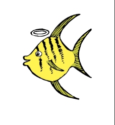 黄色天使小鱼
