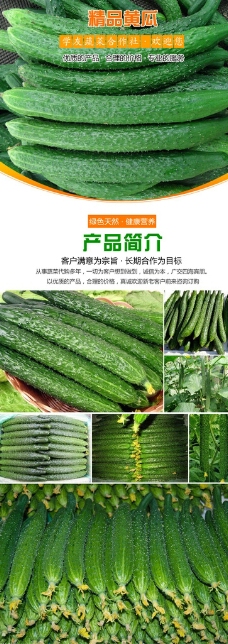 淘宝蔬菜黄瓜详情设计图片