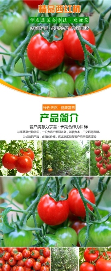淘宝蔬菜西红柿详情设计图片