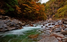 秋色小溪图片