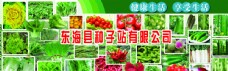 绿色蔬菜种子广告图片