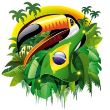 鸟的世界印着巴西世界杯标志的鸟