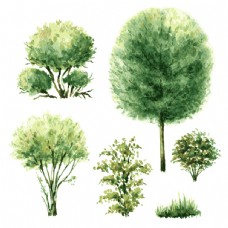 趣味插画趣味水彩绘绿色大树插画