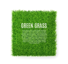 字体方形绿色草坪矢量