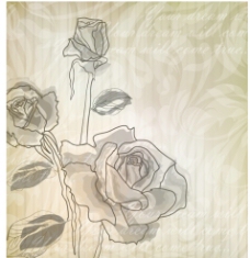 手绘玫瑰 淡雅玫瑰图片