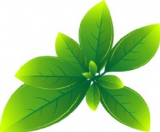 SPA插图创意绿色树叶叶子插图