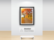 树木树叶在路旁的树木落叶影楼摄影背景图片