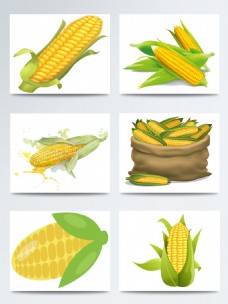 一组手绘玉米图案合集