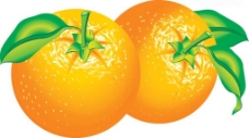 逼真的矢量橙子