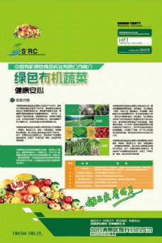 绿色蔬菜精品有机果蔬海报