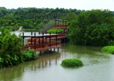 湖中桥图片