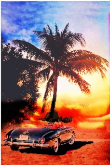 椰树汽车夏威夷风情