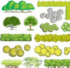 卡通景观树木图片