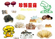 珍稀菌菇
