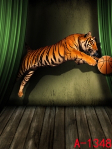 老虎 篮球 背景布