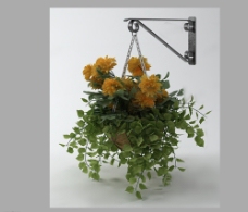 植物3D模型图片