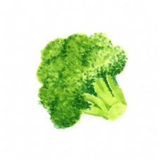 手绘绿色蔬菜元素