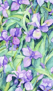 紫花绿叶图片