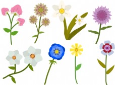 手绘矢量花卉植物素材