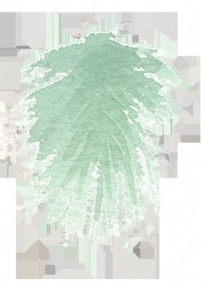 手绘简约松柏树叶水彩透明素材