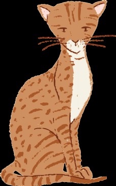 手绘卡通浅棕色花纹猫透明猫咪素材