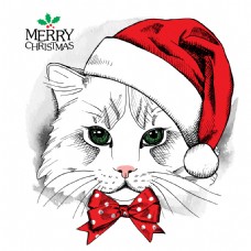 戴圣诞帽子的小猫插画