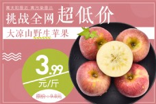 水果海报水果促销海报大凉山野生苹果海报