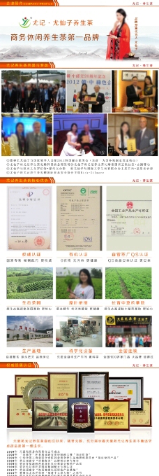 企业简介设计模板养生茶企业设计尤仙子模板