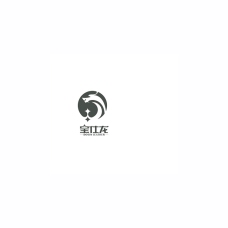 宝仕龙logo