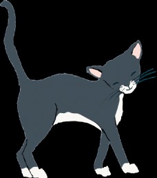 手绘深灰色行走中的微笑小猫透明猫咪素材
