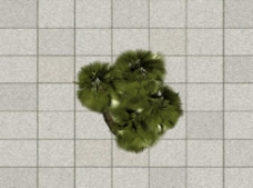 树木灌木3D模型图片