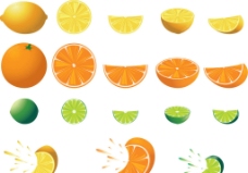 水果橙子切面图图片