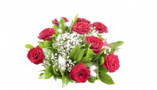玫瑰花束明艳红色玫瑰花花朵花束实物元素