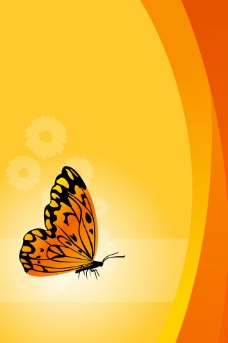 黄色背景黄色蝴蝶背景图片