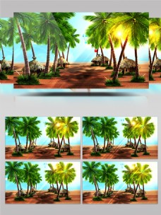 沙滩椰树三亚自然风光海岸视频