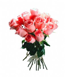 玫瑰花束浪漫粉色玫瑰花花朵花束实物元素