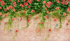砖墙玫瑰（不分层）图片