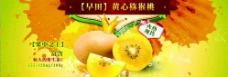 黄猕猴桃banner图片