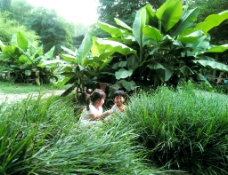 草丛旁快乐的孩子图片
