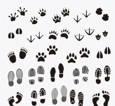 动物脚印矢量动物和人类的脚印
