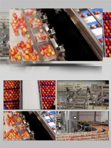 苹果加工生产线深加工食品素材