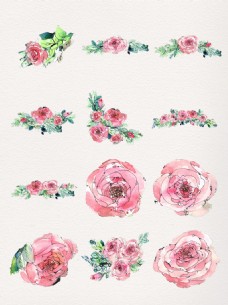 牡丹手绘粉色鲜花透明素材合集