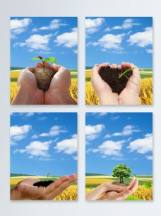 发芽保护环境手捧小苗植树节广告背景