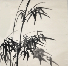 中国画竹子图片