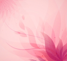 粉色抽象花卉 背景图片