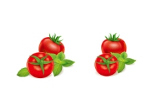 豌豆西红柿矢量图图片